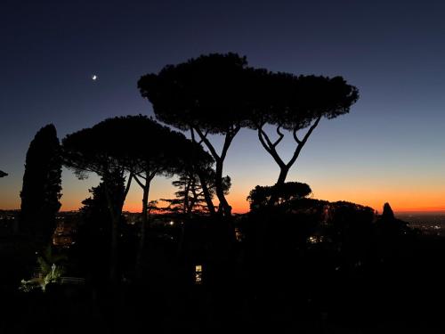 a silhouette of trees at sunset with the moon at “Casa Amélie” in Grottaferrata