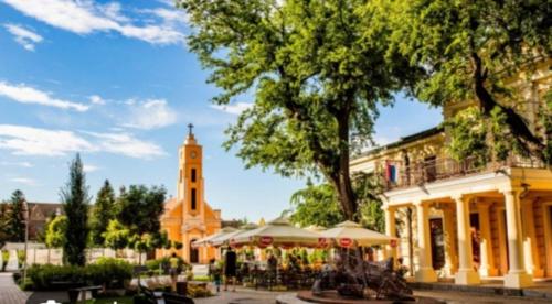 Ein Garten an der Unterkunft Nina centar