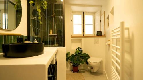 Bilik mandi di Chaleureux T2 en hyper centre de Toulouse