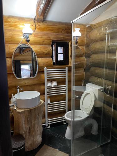 un bagno con un water e un lavandino di Cabanele Silvania a Borsa