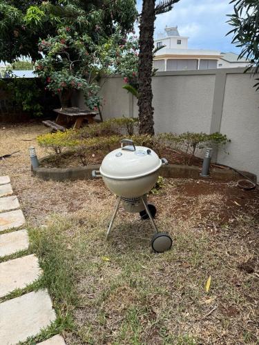 Un jardín fuera de Casa IVIA