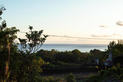 a view of the ocean from a hill with trees at Casas do Amarelo in São Mateus