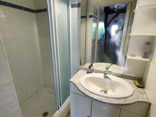 une salle de bain avec un lavabo et une douche dans l'établissement Villa climatisée avec piscine, parking et terrasse à 450m de la plage - FR-1-607-17, au Cap d'Agde