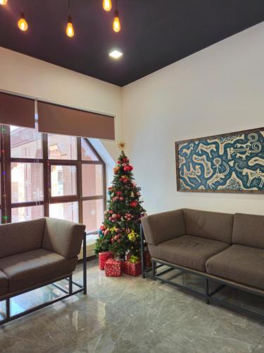 a christmas tree in a room with two couches and a christmas tree at Sulu Hostel in Astana