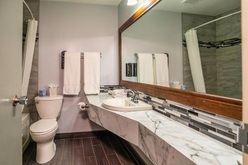 a bathroom with a toilet and a sink and a mirror at Old Orchard Inn in Wolfville