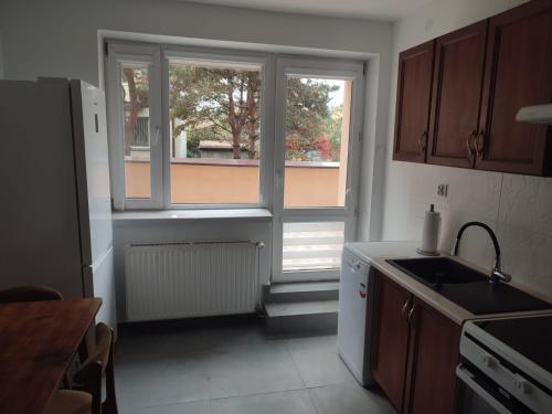 une cuisine avec une fenêtre, un évier et une cuisinière dans l'établissement Apartament przy 29 alei, à Cracovie