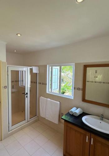 a bathroom with a shower and a sink and a mirror at Spas Villas La Villa in Victoria
