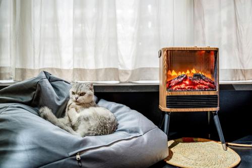 a cat sitting on a bed next to a fireplace at HeSu Hidden Art Hotel & Suites - Near Bell Tower & Ideal Location-Spacious rooms featuring King or Double Queen beds -Exclusive Two&Three-Bedroom Suites with Expansive Living Rooms for Group Gathering-Kitty Cuddles & Coffee Gift -Seamless Journey Planning in Xi'an