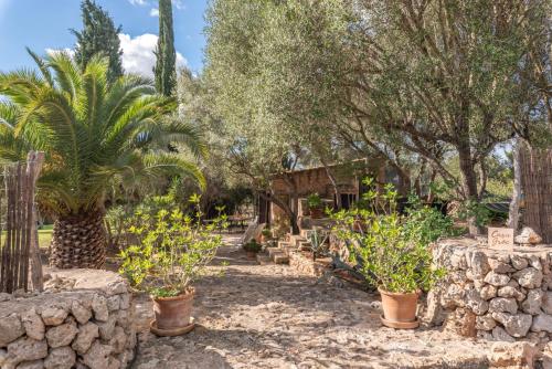 a garden with palm trees and a stone wall at Can Pina - Eco Groc - in Costitx