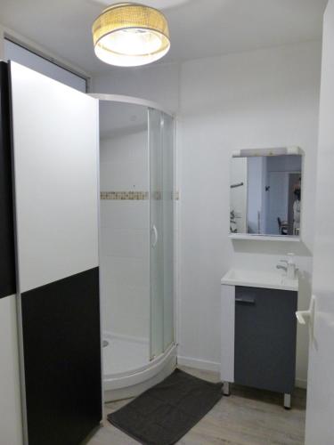 une salle de bain avec douche et lavabo dans l'établissement VIARME - Grand T4, 6 pers au calme en centre ville, à Nantes