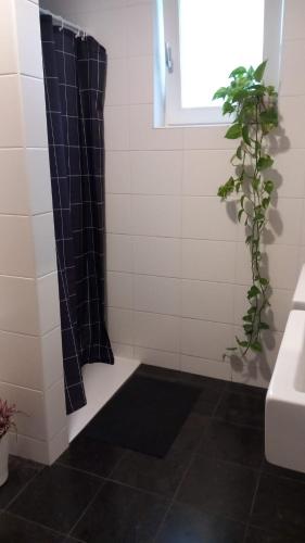a bathroom with a shower with a black shower curtain at private rooms in luxury villa in The Hague
