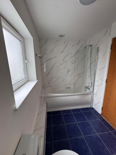 a bathroom with a shower and a toilet at Washington Street Apartment in Cork