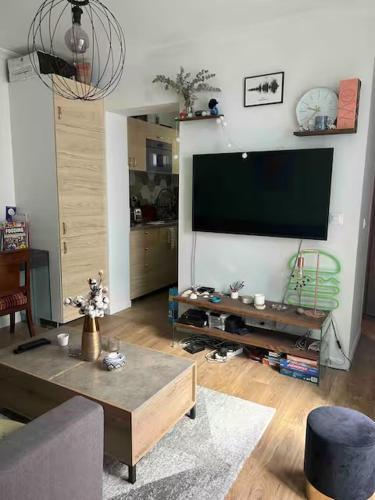Cozy Appartment in Voltaire