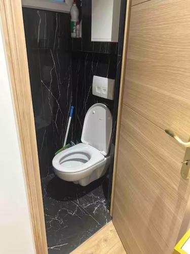 - une petite salle de bains avec toilettes dans une cabine dans l'établissement Cozy Appartment in Voltaire, à Paris