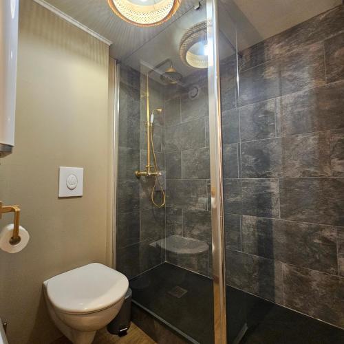 une salle de bain avec toilettes et douche dans l'établissement Studio Rustique en Cœur de Ville, à Charleville-Mézières