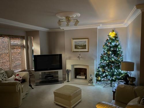 a living room with a christmas tree and a fireplace at Woodhead view in Kirkintilloch