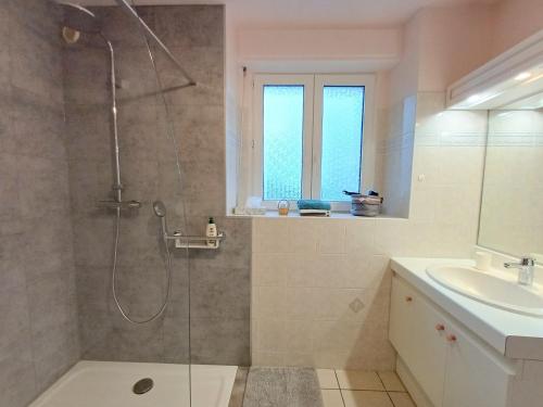 a bathroom with a shower and a sink at Plain pied en rez de jardin à la campagne et proche de l'océan in Mahalon