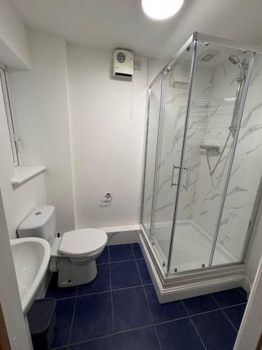 a bathroom with a shower and a toilet and a sink at Washington Street Apartment in Cork