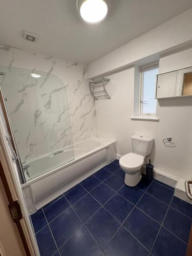 a bathroom with a shower and a toilet and a tub at Washington Street Apartment in Cork