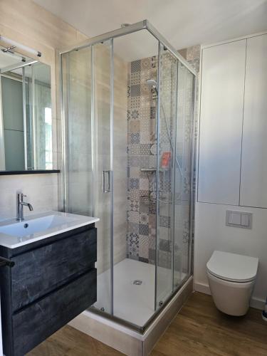 une salle de bain avec une douche, un lavabo et des toilettes dans l'établissement Le fronton, à Saint-Jean-de-Luz