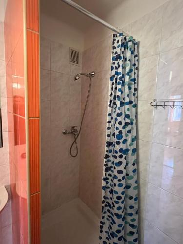 a shower with a blue and white shower curtain at Penzion pod Vlekem Dolní Morava in Dolní Morava