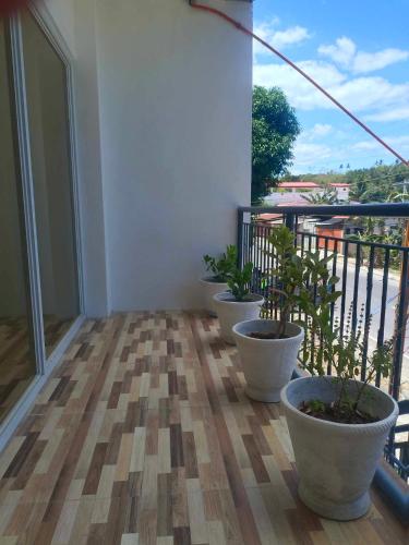 three potted plants on the balcony of a building at WARM Tourist Inn in Badian