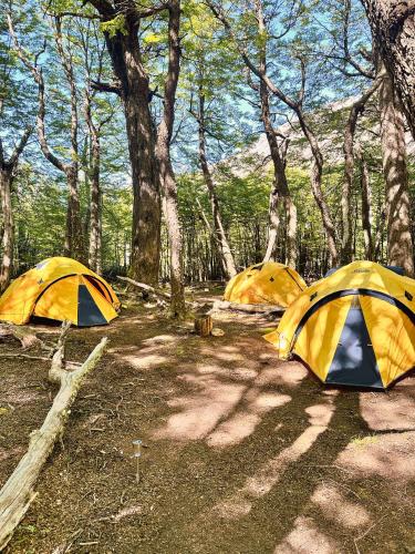 a group of three tents in a forest at FITZ CAMP - Glamping agreste - Base Cerro Fitz Roy in El Chalten