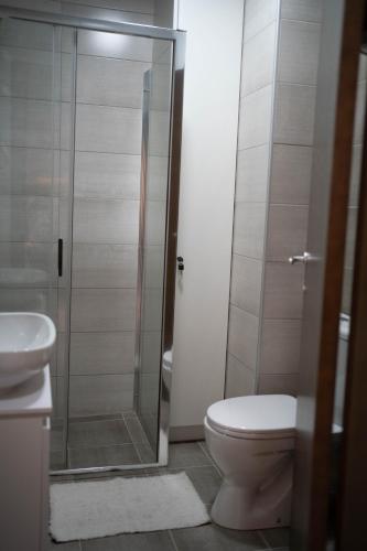a bathroom with a toilet and a glass shower at Angelina Art in Trnava