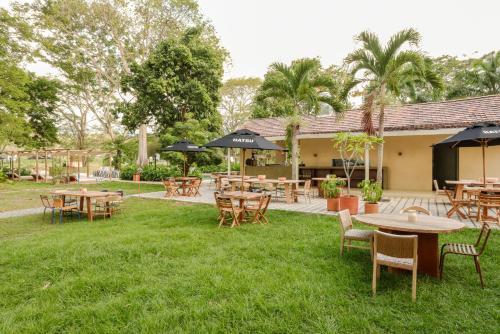 a yard with tables and chairs and umbrellas at Arde La Selva in Santa Fe de Antioquia