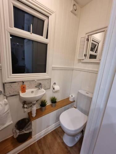 a bathroom with a toilet and a sink and a window at Back in Thyme in Colchester