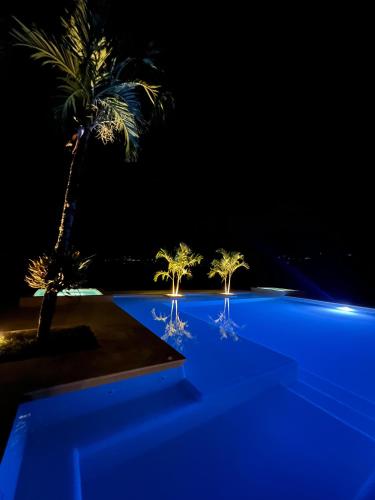 a swimming pool with palm trees at night at Fina Estampa Country Hotel by HMC - Mayores de 10 años - in Támesis