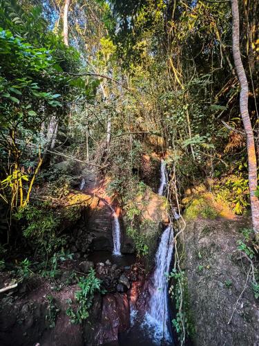 a waterfall in a forest with trees at Fina Estampa Country Hotel by HMC - Mayores de 10 años - in Támesis