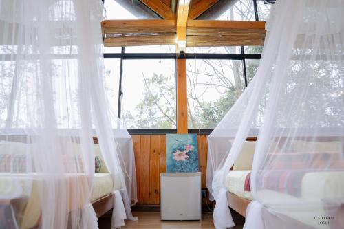 Postel nebo postele na pokoji v ubytování Tea Forest Lodge