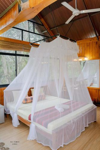 Postel nebo postele na pokoji v ubytování Tea Forest Lodge