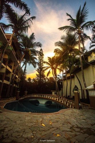 a pool with a bridge in front of a building with palm trees at hotel plaza BRISAS MT in Punta Cana
