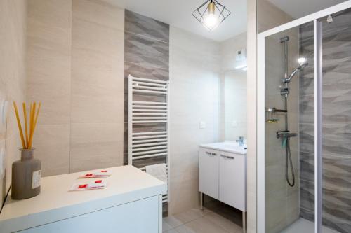 a bathroom with a shower and a toilet and a sink at Canon proche de la gare maritime au rdc in Vannes