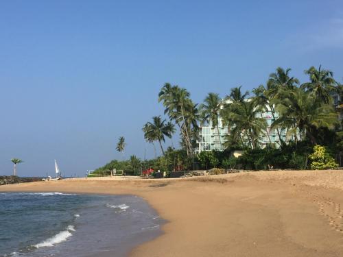 a view of a beach with palm trees and a building at Villa Amorino in Galle