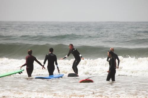 Επισκέπτες που μένουν στο Surf territory shared dorm room