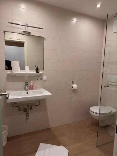 a bathroom with a sink and a toilet and a mirror at Austria Traveller Hotel Kirchdorf in Kirchdorf an der Krems