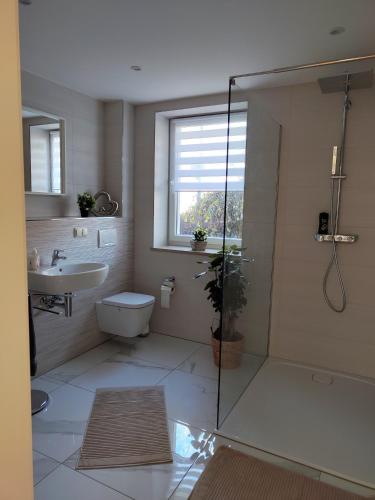 a bathroom with a shower and a toilet and a sink at Ferienwohnung zur alten Post in Pirna