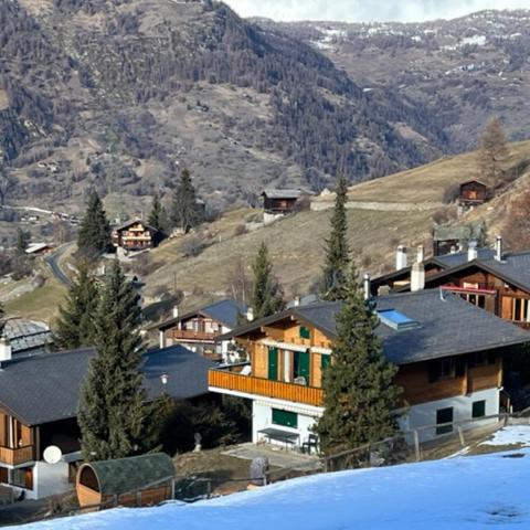 Chalet La Lumiere by Alte Bock