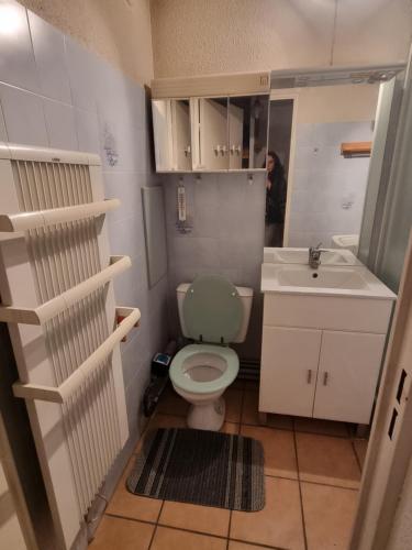 a small bathroom with a toilet and a sink at Signal du Prorel Briançon Serre Chevalier "QOCLICO" in Briançon