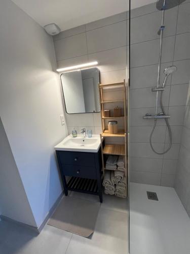 a bathroom with a sink and a shower at Maison au calme in Villersexel