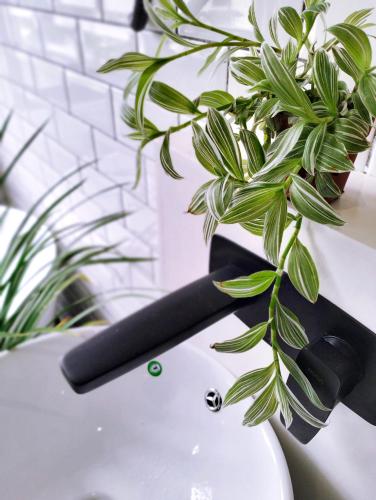 a plant sitting on a counter next to a knife at Silvan Garden Cameron Highlands in Tanah Rata