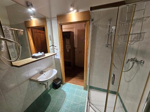 a bathroom with a sink and a shower at Hotel Tarvisio Four Seasons in Tarvisio