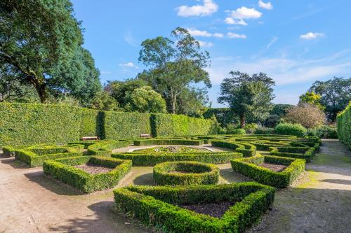 a hedge garden with hedges and bushes at Seascape in Torpoint