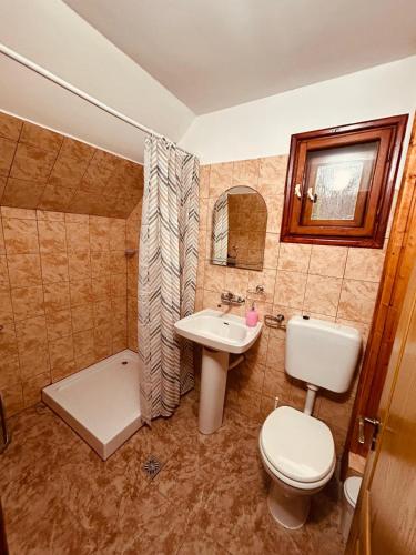 a bathroom with a toilet and a sink at ViiLa Cabanuta in Filia