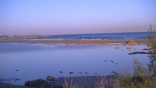 a beach with a body of water and the ocean at Liviko View in Xerokampos