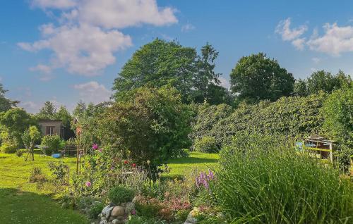 a garden with flowers and plants in a field at Ferienwohnung Altenkirchen in Altenkirchen