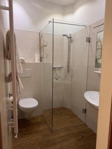 a bathroom with a shower and a toilet and a sink at Austria Traveller Hotel Kirchdorf in Kirchdorf an der Krems